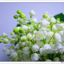 Cross stitch pattern: #609420