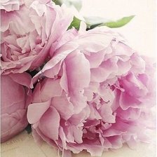 Cross stitch pattern: #609430