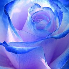 Cross stitch pattern: #609436