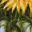 Preview of cross stitch pattern: #609479