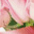 Preview of cross stitch pattern: #609499