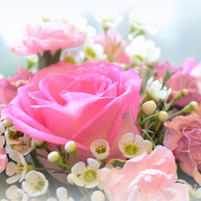 Cross stitch pattern: #609503