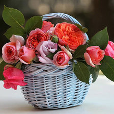 Cross stitch pattern: #609507