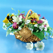 Cross stitch pattern: #609511