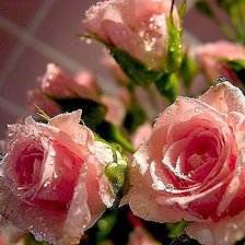 Cross stitch pattern: #609519