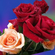 Cross stitch pattern: #609520