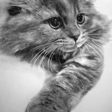 Cross stitch pattern: #609645