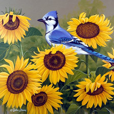 Cross stitch pattern: #611021