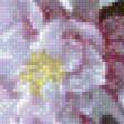 Preview of cross stitch pattern: #611404