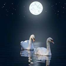 Cross stitch pattern: #611885