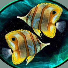 Cross stitch pattern: #612090