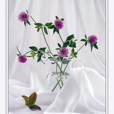 Cross stitch pattern: #612119
