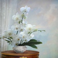 Cross stitch pattern: #612125