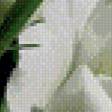 Preview of cross stitch pattern: #612222