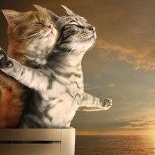 Cross stitch pattern: #612226