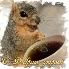 Cross stitch pattern: #612228