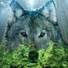 Cross stitch pattern: #612549