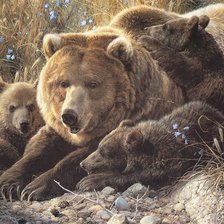 Cross stitch pattern: #612553