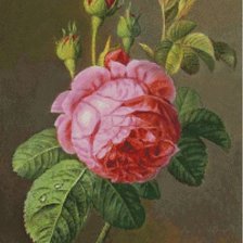Cross stitch pattern: #612716