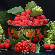 Cross stitch pattern: #613513