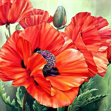 Cross stitch pattern: #613517