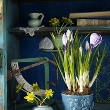 Cross stitch pattern: #613785