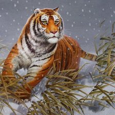 Cross stitch pattern: #615396