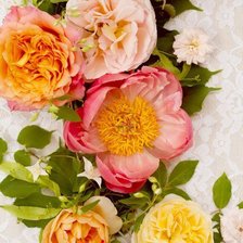 Cross stitch pattern: #615476