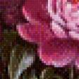 Preview of cross stitch pattern: #615529