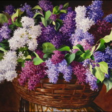 Cross stitch pattern: #616237