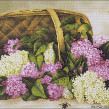 Cross stitch pattern: #616238
