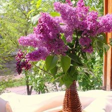 Cross stitch pattern: #616240