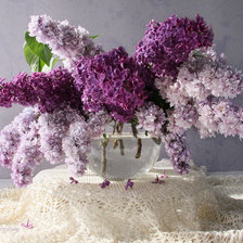 Cross stitch pattern: #616246