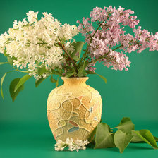 Cross stitch pattern: #616249