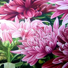 Cross stitch pattern: #616637