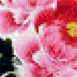 Preview of cross stitch pattern: #616665