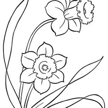 Cross stitch pattern: #616707