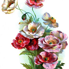 Cross stitch pattern: #617046