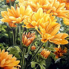 Cross stitch pattern: #617464