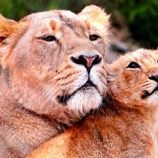 Cross stitch pattern: #618312