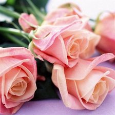 Cross stitch pattern: #618696