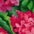 Preview of cross stitch pattern: #618798