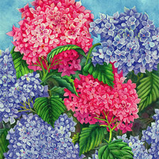 Cross stitch pattern: #618798