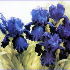 Cross stitch pattern: #620159