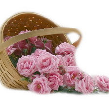 Cross stitch pattern: #620160