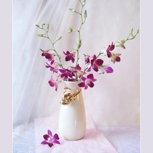 Cross stitch pattern: #620162