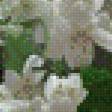 Preview of cross stitch pattern: #620170