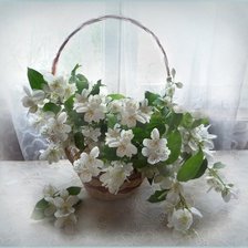 Cross stitch pattern: #620170