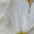 Preview of cross stitch pattern: #620174