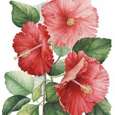 Cross stitch pattern: #621531